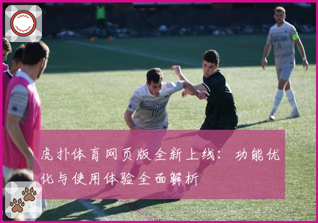 虎扑体育网页版全新上线：功能优化与使用体验全面解析